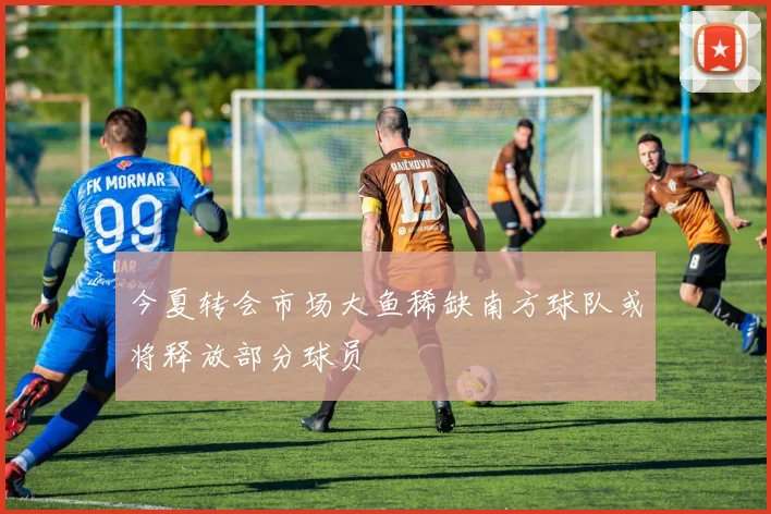 今夏转会市场大鱼稀缺南方球队或将释放部分球员